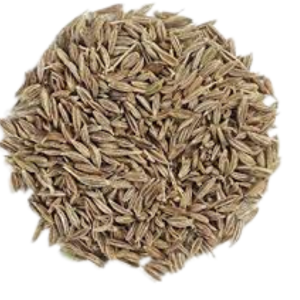 Cumin Seeds 100 gms