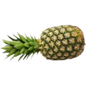 Pineapple 1 Pc